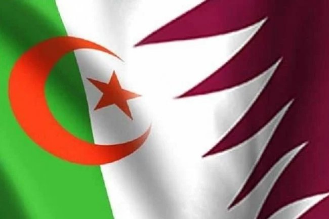 Coopération économique Qatar – Algérie : des perspectives prometteuses