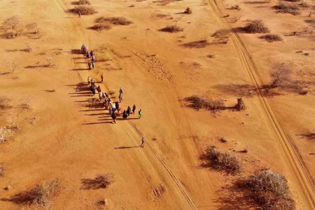 Report estimates 43,000 Somalians died during the country's longest drought on record