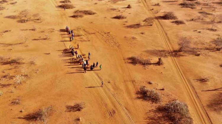 Report estimates 43,000 Somalians died during the country's longest drought on record