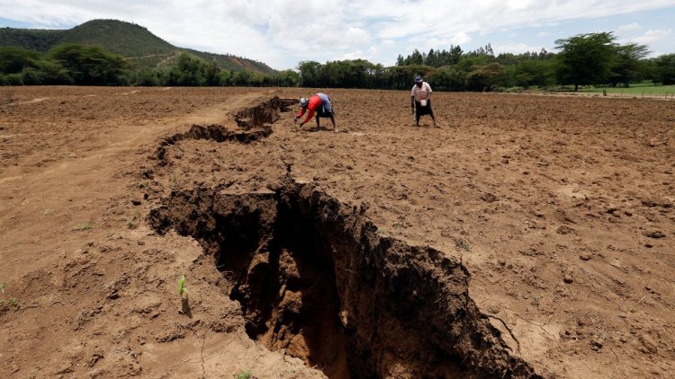 New ocean could form in Africa as continent continues to split apart